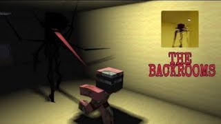 Monster School The Backrooms Horror Challenge - Minecraft Animation Robe Cube Deleted Vi̇deo