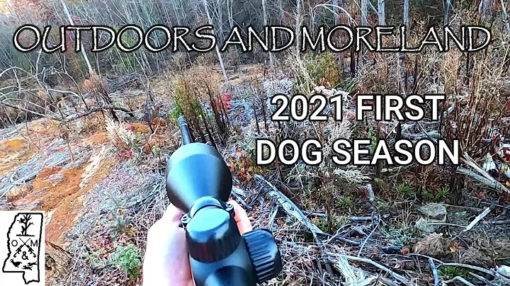 2021 deer dog highlight. Deer dog hunting.