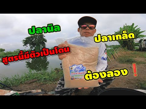 สูตรเหยื่อตกปลานิล🐠 ปลาเกล็ด และวิธีผสมเหยื่อตกปลาลุงจงหัวฟรุตตี้ มีตัวเป็นโดน❗