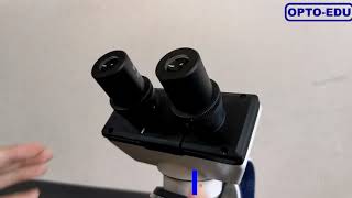 OPTO-EDU A11.1123 Biological Microscope, Binocular Head