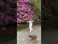 a week in my favorite place 🌊🦪 #summertime #rhodeisland #coastal #summervlog #eastcoastsummer