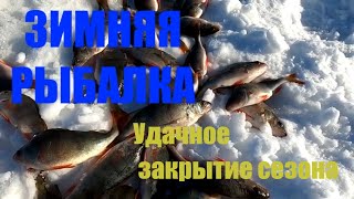 Зимняя рыбалка. Удачное закрытие сезона.