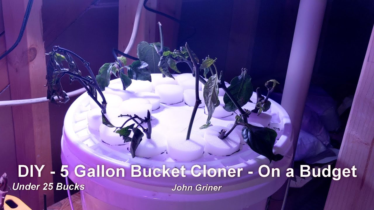 DIY 5 Gallon Bucket Cloner On a Budget Under 25 Bucks YouTube