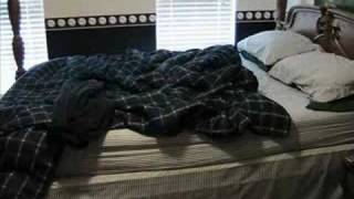 Stop Motion Bed