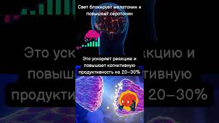 Как проснуться за 5 минут и взбодрить мозг