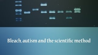 Bleach, autism and the scientific method