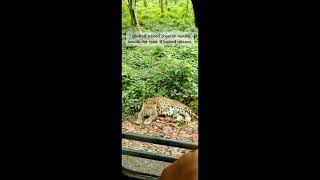 Bengal Safari - Summer Vacation । বেঙ্গল সাফারি - গ্রীষ্মের ছুটি