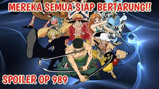 Spoiler One Piece 989 - Seluruh Kru Topi Jerami Berkumpul Dan Siap Bertarung - One Piece 989+