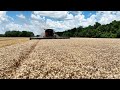 DAY 2 WHEAT HARVEST ALABAMA