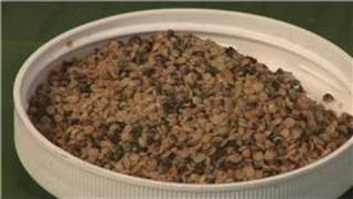 Herbal Remedies How To Cleanse The Colon Using Herbs