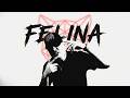 Danielvis - FELINA (Video Oficial)