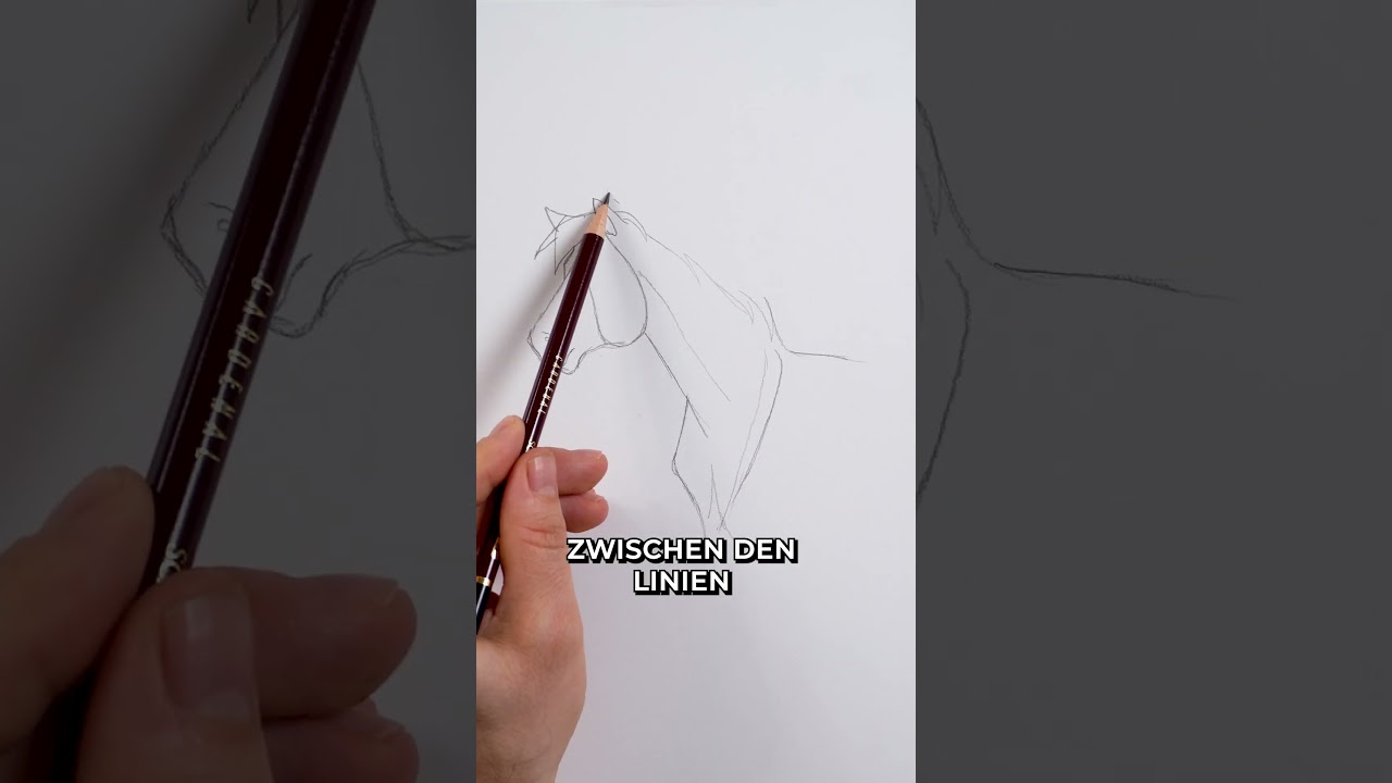 Pferd zeichnen lernen - Tiere zeichnen Tutorial