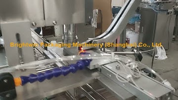 Foamy liquid 4 nozzles servo filling elevator feeding caps servo screw capping machine line