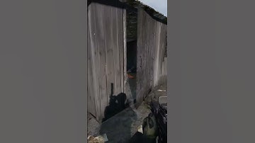 #dayz  Random ecounter #shorts #dayzstandalone #xbox #playstation #gaming #games