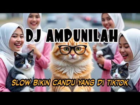 DJ AMPUNILAH SLOW REMIX BY Yanz Tube VIRAL TIKTOK TERBARU 2025 YANG KALIAN CARI !!