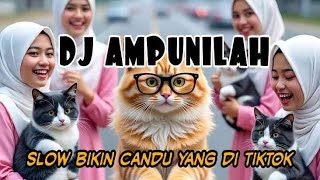 Download Lagu DJ AMPUNILAH SLOW BIKIN CANDU YANG DI TIKTOK BY Yanz Tube MP3