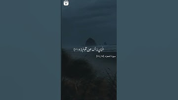 سورة الشعراء الآية [217_219]