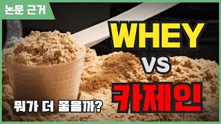 웨이 프로틴 vs 카제인 제대로 알고 드세요!