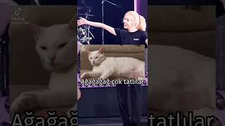 Yicem Ya -Duru Şfet