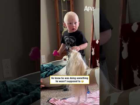 He knew he was doing something he wasn't supposed to 🤣