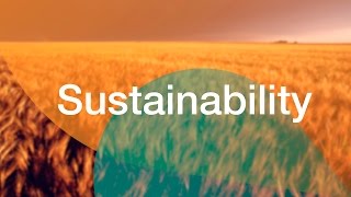 Sustainability: Shaping the grain value chain of the future