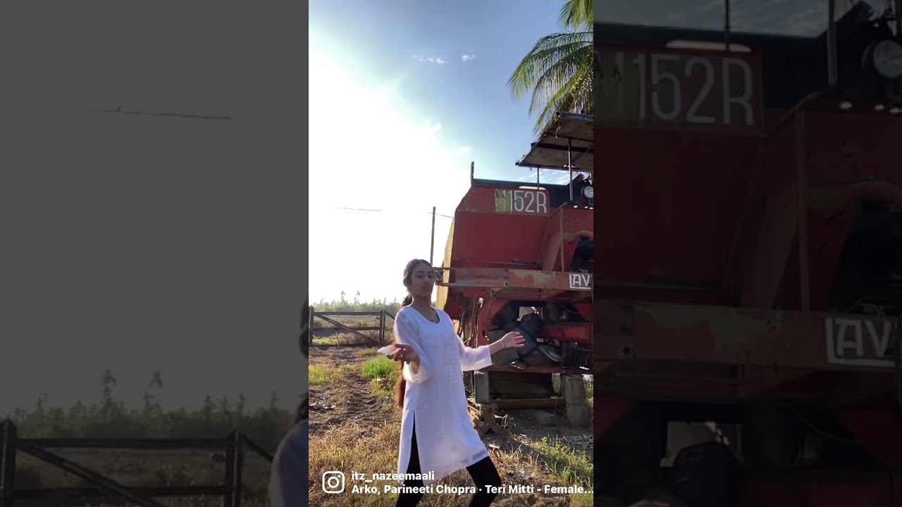  Terimitti Guyana Ali Nazeema Love Caribbean Berbice Shorts