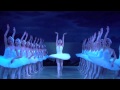 The mariinsky at bam swan lake