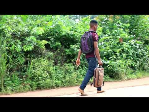 Vidéo: Préférence Pour La Polythérapie à Base D'artémisinine Chez Les Prestataires De Soins De Santé, Lokoja, Nigeria Centre-nord