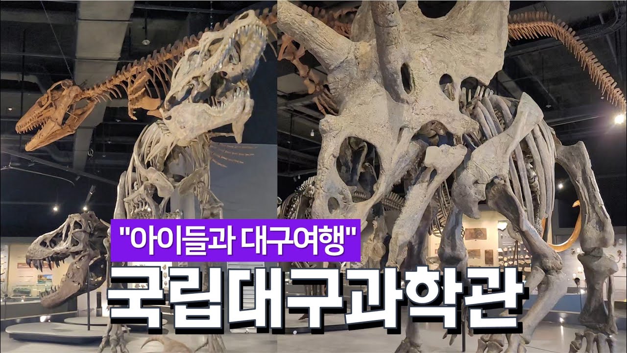 [아이들과 대구여행2] 국립대구과학관에서 하루종일 놀기