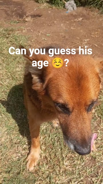 guess how old he is - YouTube