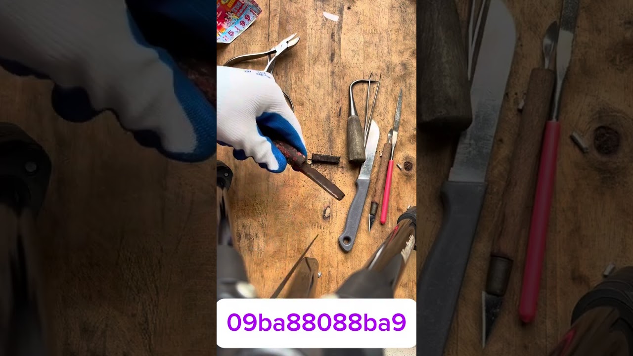 Giao lưu chia sẽ ae đam mê nghệ thuật tạo tác bonsai#bonsai #bonsaitools #bonsaiart #bonsaimini