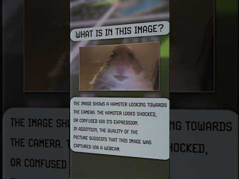 5 INSANE Large