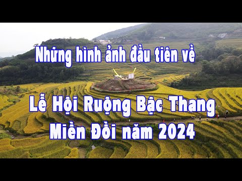 Những hình ảnh