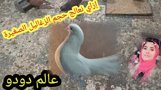 حل مشكلة الزغاليل الصغيرةSolving the problem of small zagael