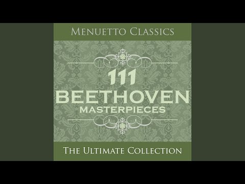 Tonton 7 Variations on "Bei Männern, welche Liebe fühlen" from "The Magic Flute", WoO 46 di YouTube
