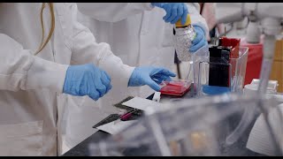 Celebrating 10 Year of Cancer Research