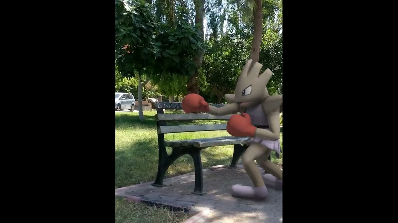 Executor and Hitmonchan in real life 