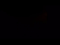 もしもくるりの岸田繁さんがドラクエのしすぎで寝不足になり、嘘をついてでもどうにか学校を休もうとしたら作りそうな曲、タイトルは「ゲームの日」