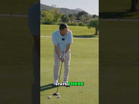 Master Chipping with