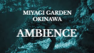 Miyagi Garden Okinawa | Ambient Meditation Soundscape