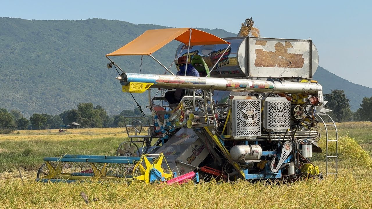 นิ่มๆ คล่องๆ รถเกี่ยวไทยเจริญการช่าง เกี่ยวข้าวนาปีลพบุรี บรรยากาศดีมาก 