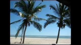 Nina's Morondava