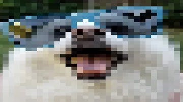 surprised no one has done this before