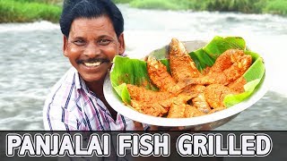 மணிமுத்தாறு பஞ்சலை மீன் கிரில் | SPICY GRILLED FISH | Manimuthar Dam - TIRUNELVELI