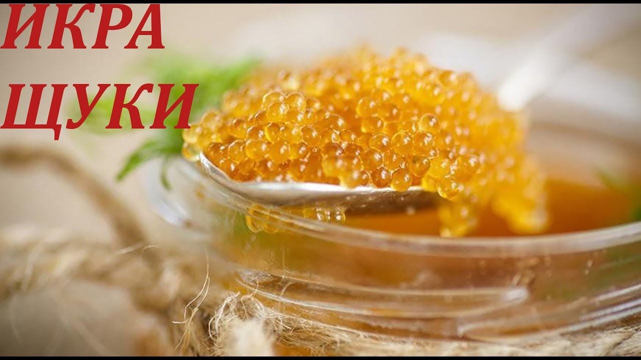 #ИКРА ЩУКИ РЕЦЕПТ ПРИГОТОВЛЕНИЯ.Бабушкин#рецепт. - YouTube