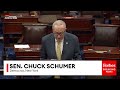 Chuck Schumer Reads Programs That Could Be Funded With $170 Billion Set Aside For ICE, CBP Funding