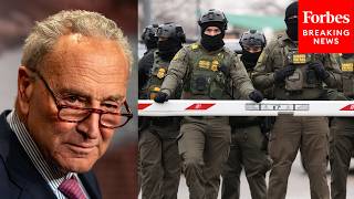 Chuck Schumer Reads Programs That Could Be Funded With $170 Billion Set Aside For ICE, CBP Funding