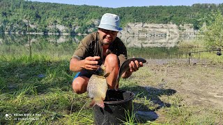 Ловля карпа на реке Днестр (Новоднестровская водохранилище) флэт метод