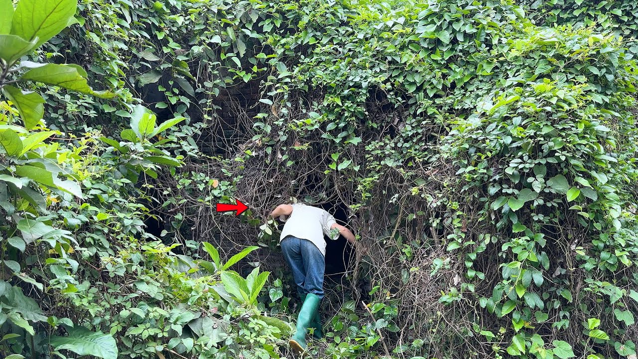 Мужчина покупает старый дом всего за 2500 долларов, чтобы жить в нем и убираться, и это беспокоит лю