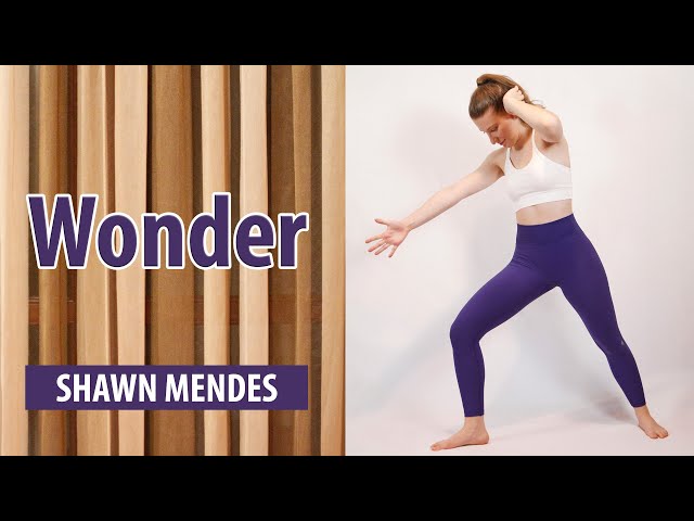 Wonder Shawn Mendes online exercise for